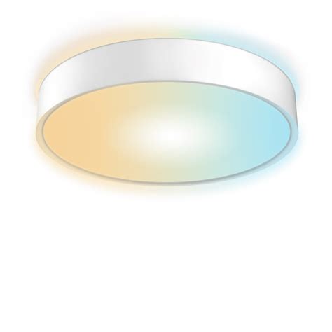 Circular Ceiling Light Fluorescent | Shelly Lighting