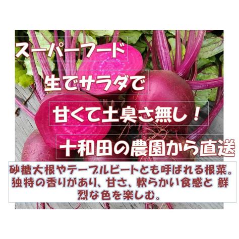 西洋野菜 ビーツ 10kg 無農薬野菜 野菜ソムリエが栽培 ふぞろい 令和2年産 青森産 テーブルビート 農園直送 0200110