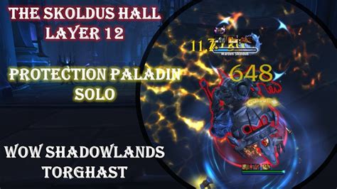 Torghast Layer The Skoldus Hall Walkthrough Guide Prot Paladin