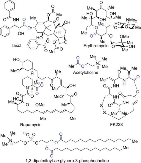 Examples of ester-containing natural products. | Download Scientific Diagram