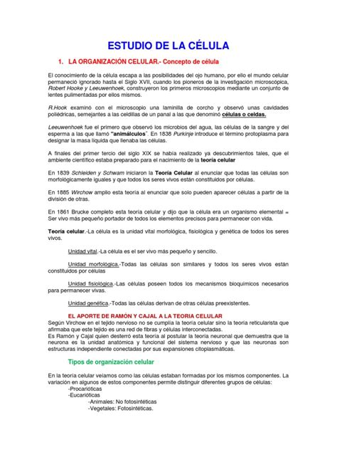 Pdf Estudio De La C Lula Dokumen Tips