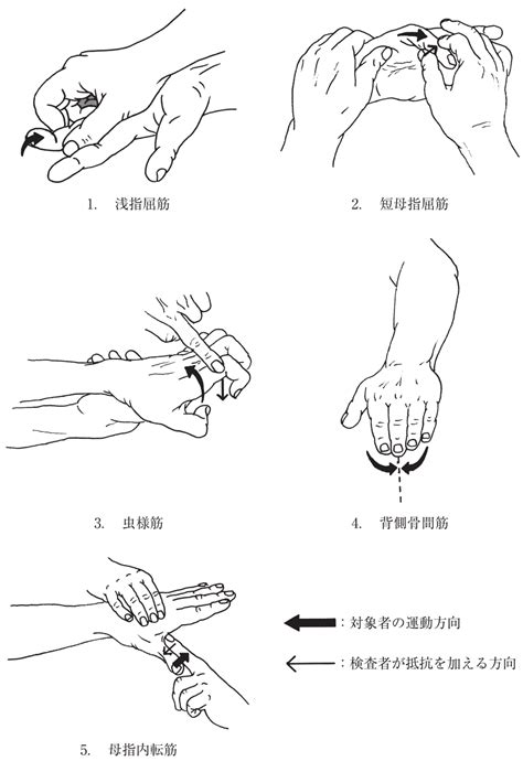Danielsらの徒手筋力テストによる手指筋のテストで正しいのはどれか
