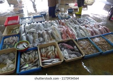 Pontian Fish Market Pasar Awam Pontian Stock Photo 1173934564