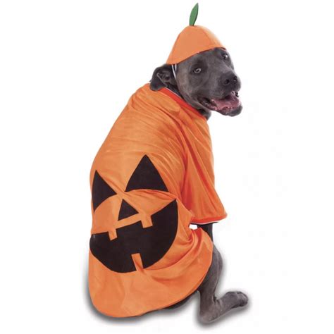 20 Cute Halloween Costumes For Extra Large Dogs Up To 3xl Hey