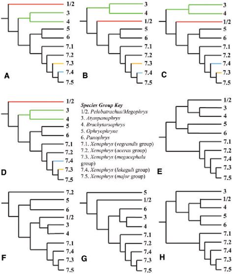 Figure From Evolutionary History Of The Asian Horned Frogs