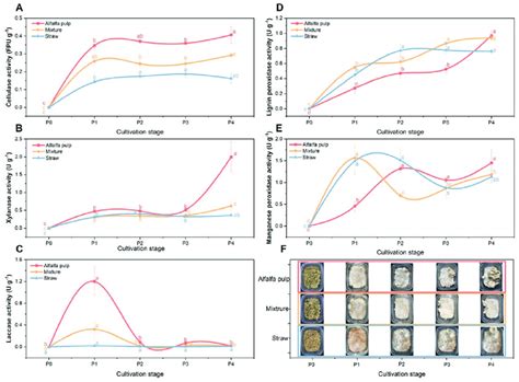 Enzyme Activity During Growth On Substrates A Cellullases Activity