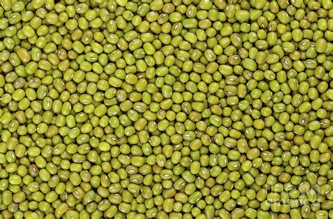 Mung Beans Dried Whole Green Gram Seeds Background From Above