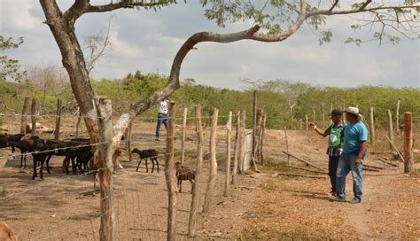 La ANT entregó 76 hectáreas de tierra a familias campesinas en Baranoa