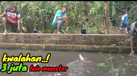 Bener Bener Nekad Mancing Ikan Lele Monster Youtube