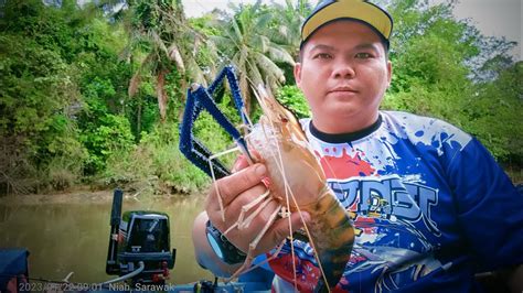 Trip 22 01 2023 Mancing Di Sungai Niah Sepupok Miri Sarawak YouTube