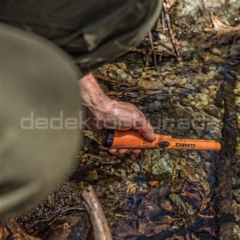 Garrett Dedektör Pro Pointer AT