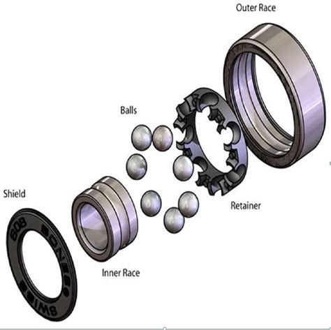 Bearings vs Bushing – Ultimate Spearfishing – Home