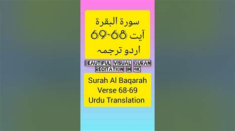 Surah Al Baqarah Ayat 68 69 In Urdu Quran Recitation Surahbaqarah Shorts Ytshorts Youtube