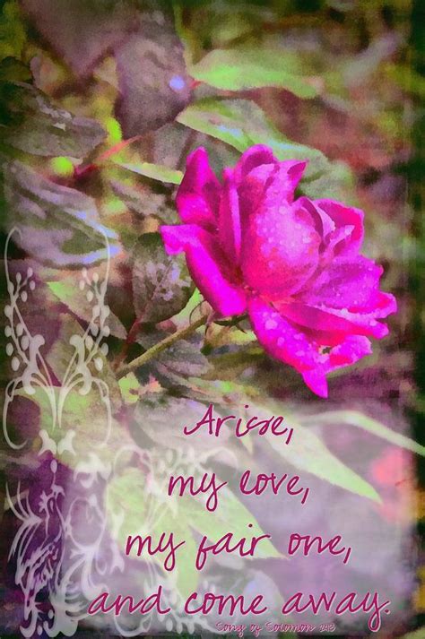 Song Of Solomon Digital Art By Michelle Greene Wheeler Pixels