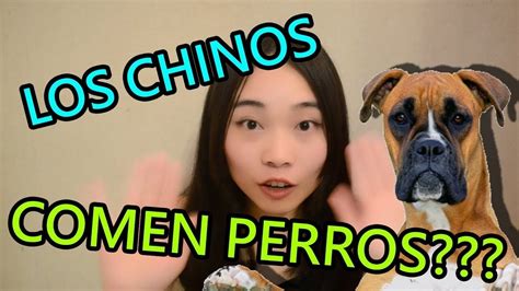 Los Chinos Comen Perros Tres Preguntas Que Nos Hacen A Los Chinos