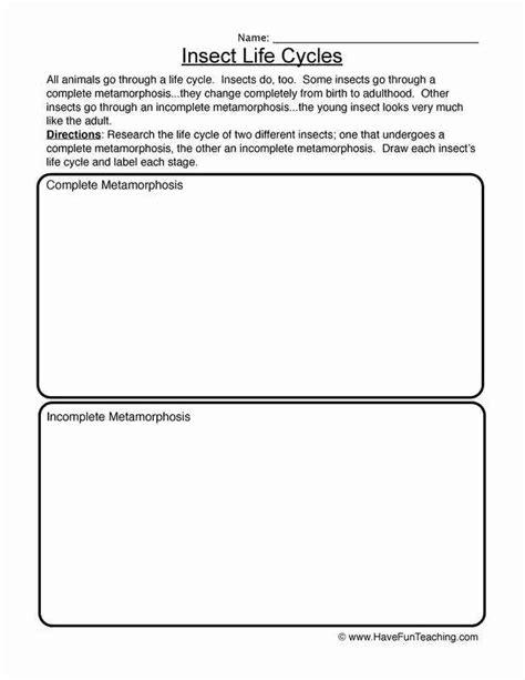 50 solving Logarithmic Equations Worksheet – Chessmuseum Template Library