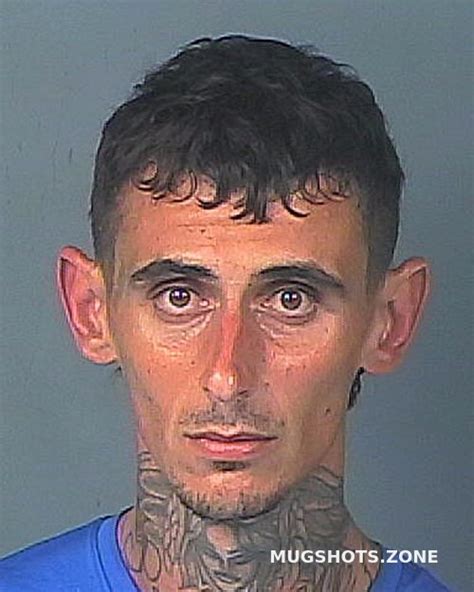 Harris Timothy Kyler Hernando County Mugshots Zone