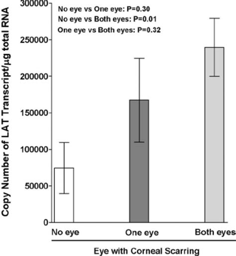 Cs And Virus Replication In Infected Mice A Cs In Ocularly Infected