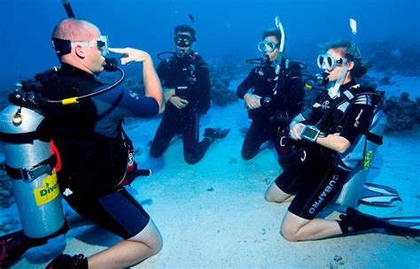 Reglas De Oro Del Buceo 1024x658