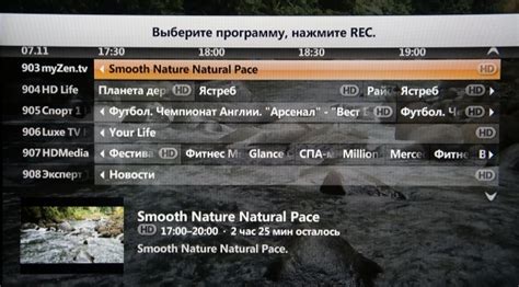 Использование IPTV на примере Домашнего цифрового телевидения «Билайн»