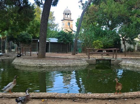 Хания, Крит | ГРЕЦИЯ - ΕΛΛΆΔΑ