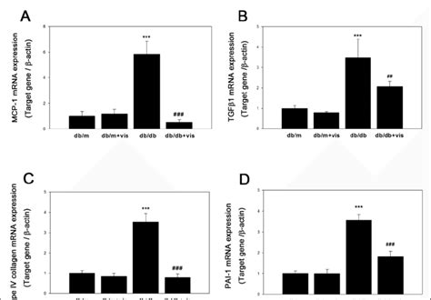 Effects Of Visfatin On MRNA Expression Of The Profibrotic Markers In