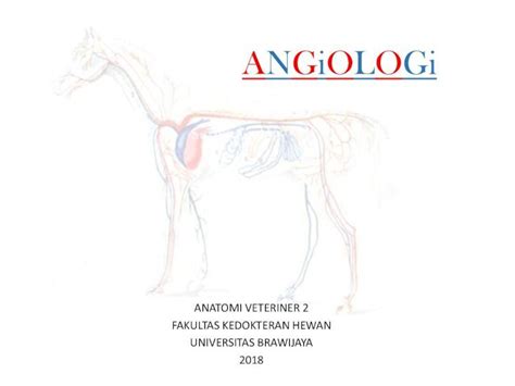 PDF ANGiOLOGi Lina 2018 2 12 ANGiOLOGi Amphibia Jantung