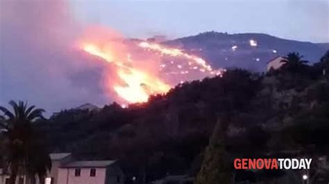 FOTO Paura A Nervi Brucia La Collina Di Sant Ilario