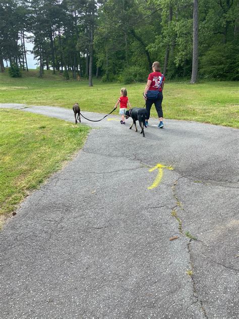 Walking Memberships | Puppy Community | Little Rock Pet Boutique