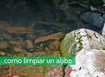 C Mo Limpiar Un Aljibe Y Ayudar A La Higienizaci N Del Agua Potable