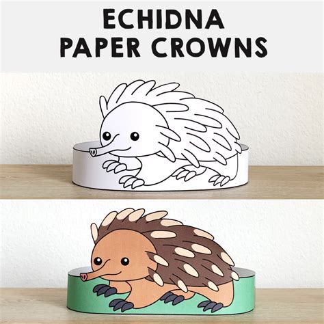 Echidna Paper Crowns Australian Animal Headband Printable Coloring Craft | Made By Teachers