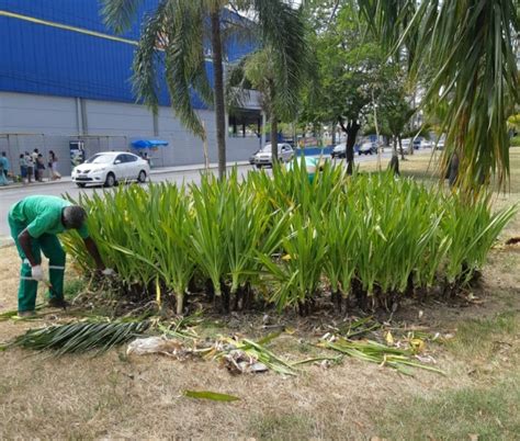 Ações de conservação da Fundação Parques e Jardins chegam à Zona Oeste