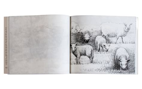 Henry Moores Sheep Sketchbook Henry Moore Foundation