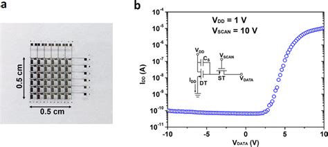 The Swnt Tfts Driver Array With 2t1c Configuration In Each Unit A Download Scientific