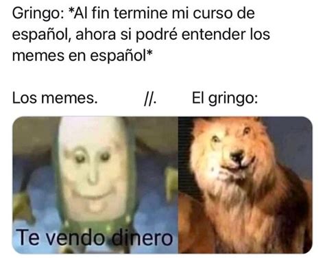 memes en español Memes Dogs Animals