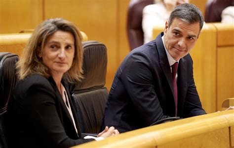 El Cara A Cara Entre Sánchez Y Feijóo En El Senado En Imágenes