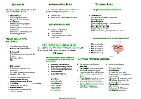 Mapa Mental Receptores Muscarinicos Farmacologia I Images And Photos