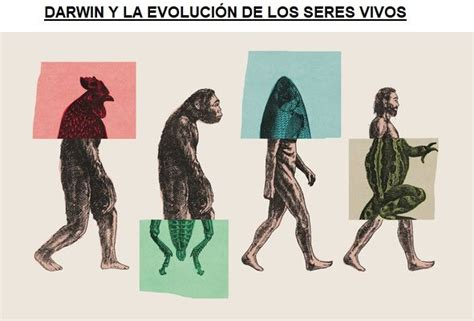 Darwin y la Evolución de los Seres Vivos Areaciencias