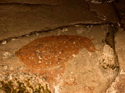 Santuario Nacional de Huayllay 4 datos sobre el bosque de piedras más