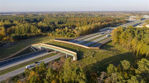 Przej Cia Dla Zwierz T Koszty Budowy In Ynier Budownictwa