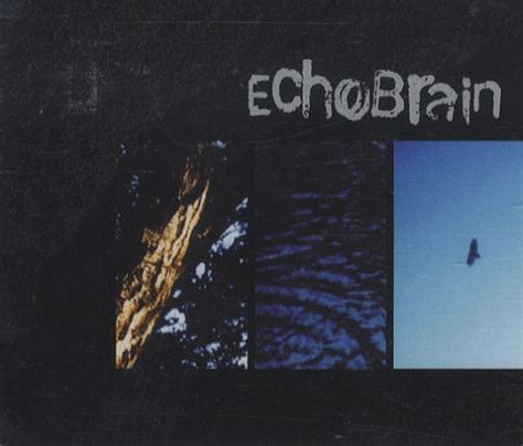 Echobrain