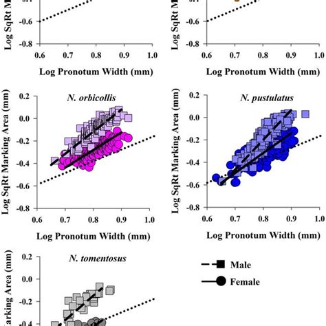 Fig Ure 2 Standardized Major Axis Regression For The Allometric