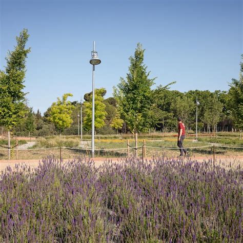 Boca De La Mina Promenade In Reus Landezine International Landscape