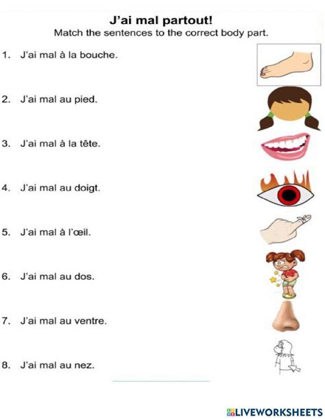 Les Parties Du Corps Worksheet Live Worksheets