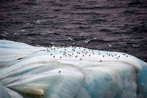 Temperaturas Extremas Causaram Impactos Sem Precedentes Nos Oceanos