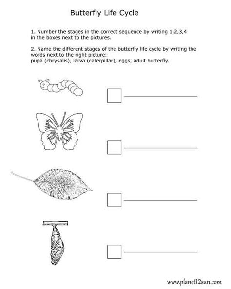 Life Cycle - Butterfly Stages - genius777.com PRINTABLES