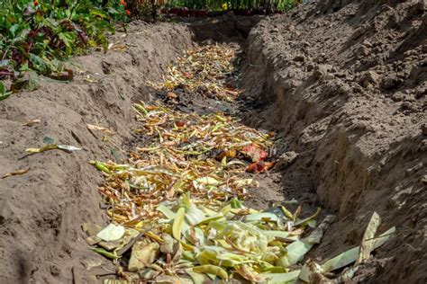 Compost Pit Preparation, Organic Waste Recycling. Pit for Garbage from ...