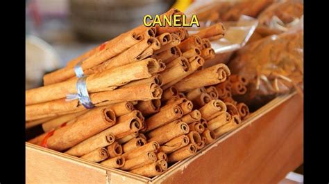 Canela Em Ingles - COMO SE DICE CANELA EN INGLÉS - YouTube