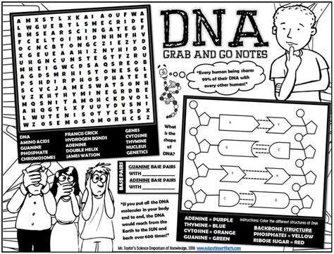 Free Printable Dna Worksheets