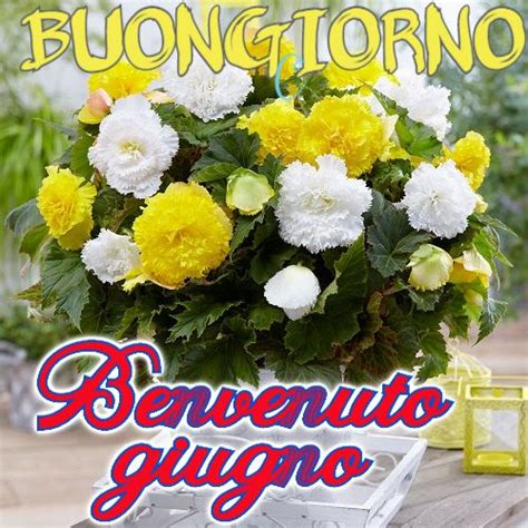 Benvenuto Giugno Buongiorno Buongiorno Immagini Buongiorno Messaggi